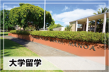 大学案内